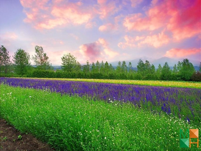 Tranh dán tường Hàn Quốc 3d khổ lớn tại Hà Nội NA - 272